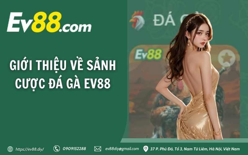 Giới thiệu về sảnh cược đá gà EV88