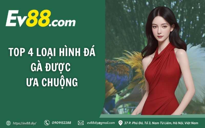 Top 4 loại hình đá gà được ưa chuộng