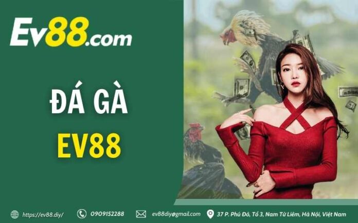 Đá Gà EV88